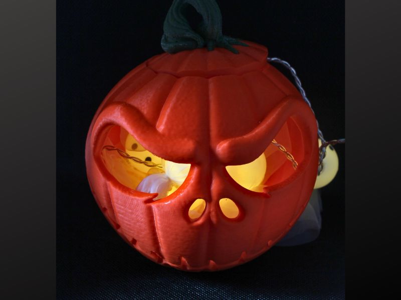 lampion dynia