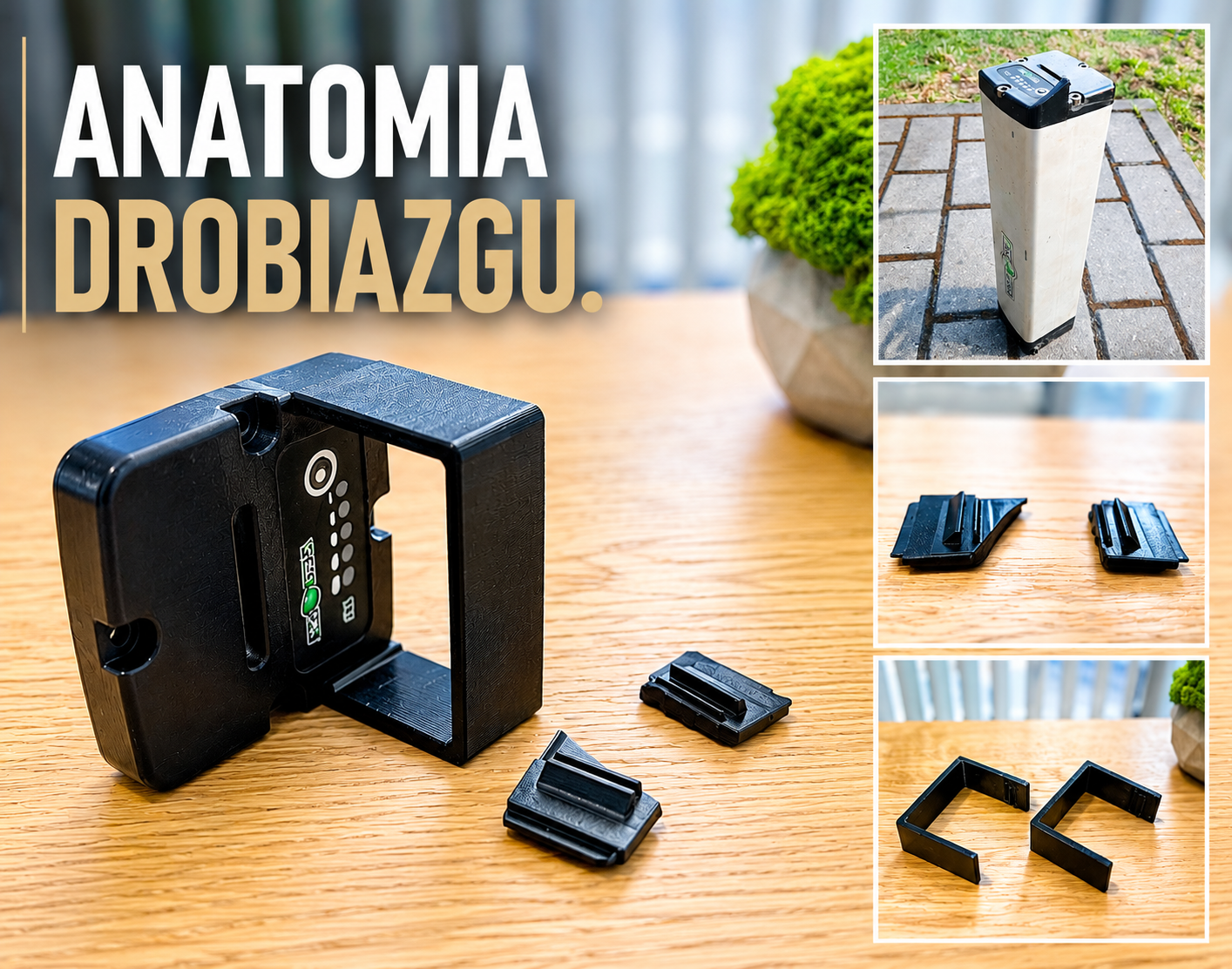 Anatomia drobiazgu