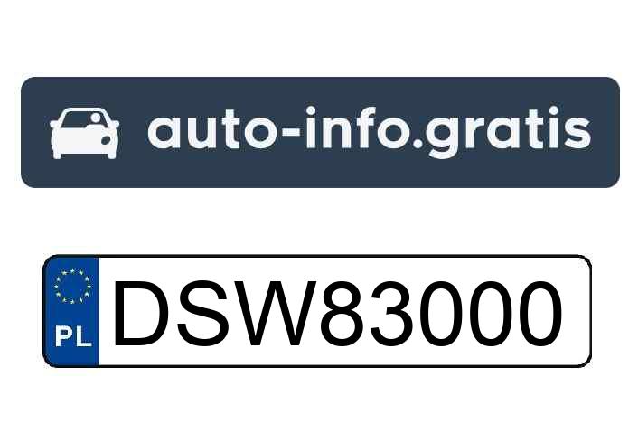 Parkmaster in einem Fahrzeug mit DSW83000-Zahlen