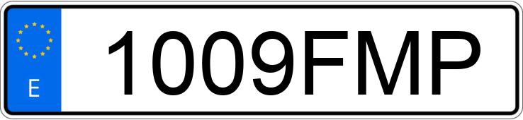 Numer rejestracyjny 1009FMP posiada CHRYSLER GRAND VOYAGER
