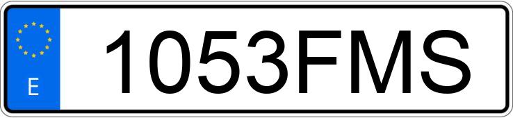 Numer rejestracyjny 1053FMS posiada OPEL ZAFIRA