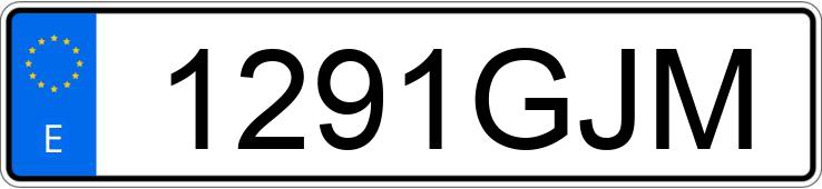 Numer rejestracyjny 1291GJM posiada SEAT IBIZA