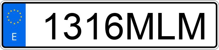 Numer rejestracyjny 1316MLM posiada RENAULT MASTER