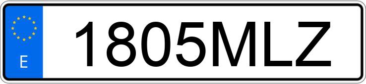 Numer rejestracyjny 1805MLZ posiada RENAULT MASTER