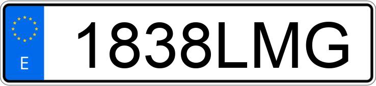 Numer rejestracyjny 1838LMG posiada MAN TGE