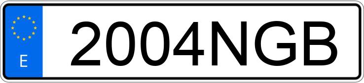 Numer rejestracyjny 2004NGB posiada VOLKSWAGEN TRANSPORTER