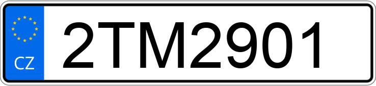 Numer rejestracyjny 2TM2901 posiada MERCEDES G