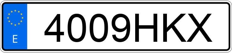 Numer rejestracyjny 4009HKX posiada VOLKSWAGEN BEETLE