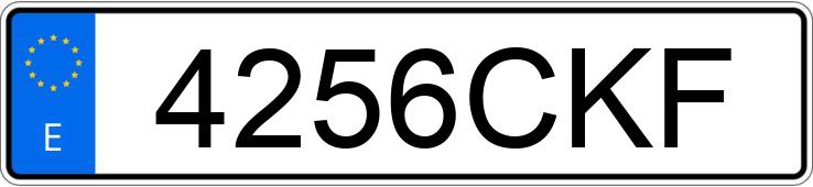 Numer rejestracyjny 4256CKF posiada SEAT IBIZA