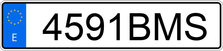Die Registrierungsnummer 4591BMS hat CITROEN XSARA
