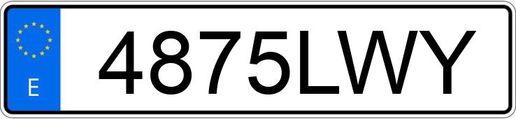 Numer rejestracyjny 4875LWY posiada RENAULT MASTER
