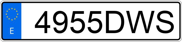 Registreringsnummer4955DWS har RENAULT KANGOO