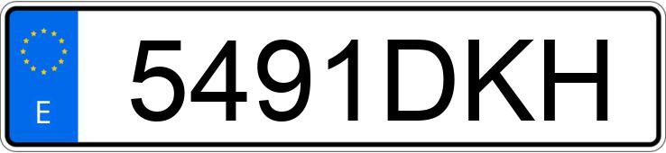 Numer rejestracyjny 5491DKH posiada SEAT IBIZA