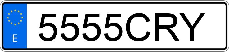 Numer rejestracyjny 5555CRY posiada FIAT SCUDO