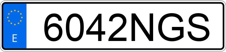 Numer rejestracyjny 6042NGS posiada SEAT LEON