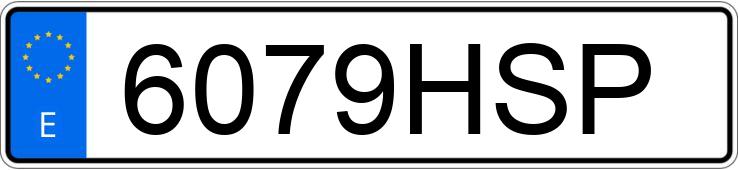 Numer rejestracyjny 6079HSP posiada VOLKSWAGEN MULTIVAN