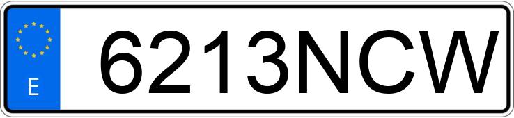 Numer rejestracyjny 6213NCW posiada RENAULT MASTER