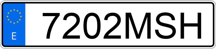 Numer rejestracyjny 7202MSH posiada VOLKSWAGEN TRANSPORTER