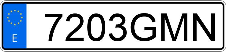 Numer rejestracyjny 7203GMN posiada FORD TOURNEO CONNECT