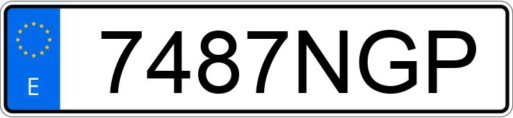 Numer rejestracyjny 7487NGP posiada FORD TRANSIT