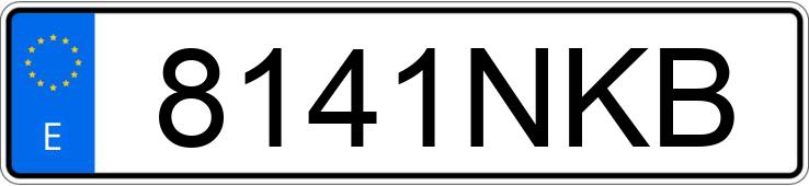 Numer rejestracyjny 8141NKB posiada RENAULT TRAFIC
