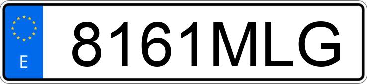 Numer rejestracyjny 8161MLG posiada MERCEDES V (638-639-447)