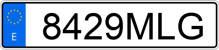 Numer rejestracyjny 8429MLG posiada SEAT IBIZA