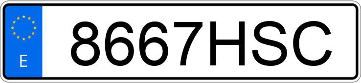 Die Registrierungsnummer 8667HSC hat NISSAN NV 200