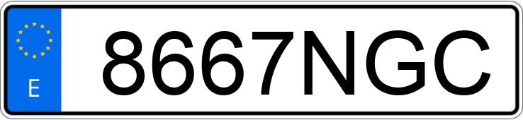 Numer rejestracyjny 8667NGC posiada SEAT LEON