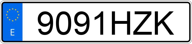 Numer rejestracyjny 9091HZK posiada RENAULT MASTER