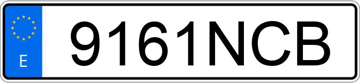 Numer rejestracyjny 9161NCB posiada FORD TRANSIT CONNECT