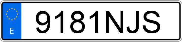 Numer rejestracyjny 9181NJS posiada RENAULT MASTER