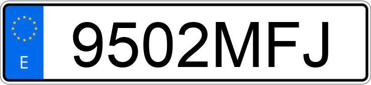 Numer rejestracyjny 9502MFJ posiada SEAT IBIZA