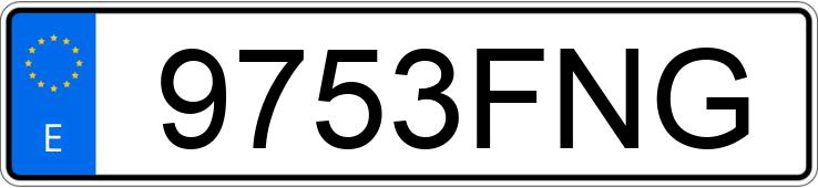 Numer rejestracyjny 9753FNG posiada FORD TRANSIT CONNECT