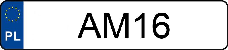 Numer rejestracyjny AM 16 posiada FORD Explorer V MR`11 XLT - AM16