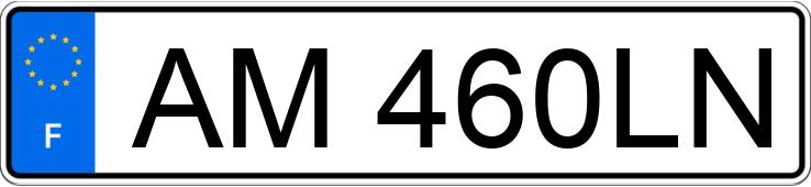Numer rejestracyjny AM460LN posiada RENAULT CLIO