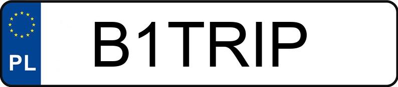 Numer rejestracyjny B1TRIP posiada BENIMAR TESSORO 444 BENIMAR 8