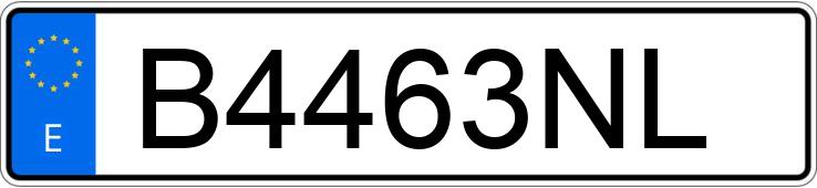 Numer rejestracyjny B4463NL posiada SEAT TOLEDO