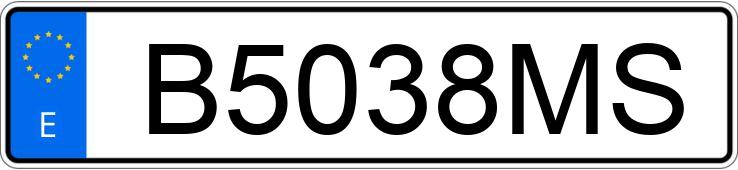 Numer rejestracyjny B5038MS posiada MERCEDES E 300 (124)