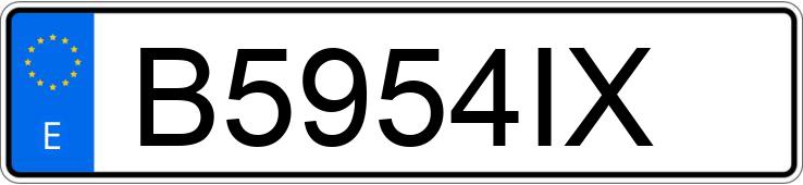 Numer rejestracyjny B5954IX posiada SEAT IBIZA