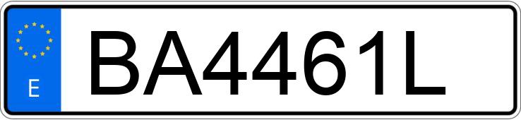 Numer rejestracyjny BA4461L posiada RENAULT 5