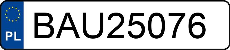 Numer rejestracyjny BAU 25076 posiada BMW 318 Touring Diesel DPF MR`06 E4 E91 318 Touring Diesel DPF MR`06 E4 E91 - BAU25076