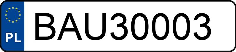 Numer rejestracyjny BAU 30003 posiada OPEL SIGNUM - BAU30003