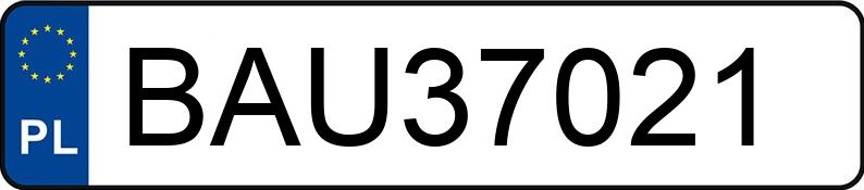 Numer rejestracyjny BAU 37021 posiada BMW 318D - BAU37021 Numer rejestracyjny BAU 37021 posiada BMW 318D - BAU37021