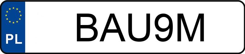 El número de registro BAU 9M tiene NISSAN 200 SX 1.8 Kat. Turbo 16V - BAU9M