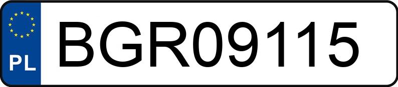 Numer rejestracyjny BGR 09115 posiada RENAULT MASTER - BGR09115