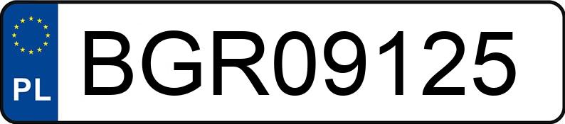 Numer rejestracyjny BGR 09125 posiada MERCEDES-BENZ/POLSTER SPRINTER 906BB50/Z - BGR09125