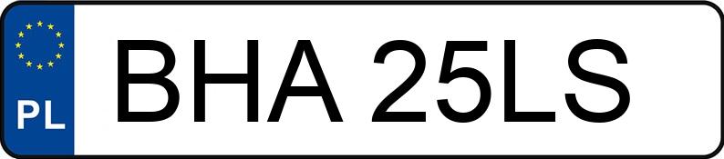 Numer rejestracyjny BHA 25LS posiada OPEL VIVARO - BHA25LS