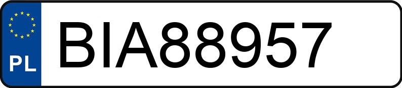 Numer rejestracyjny BIA 88957 posiada BMW 318 Touring Diesel DPF MR`06 E4 E91 318 Touring Diesel DPF MR`06 E4 E91 - BIA88957
