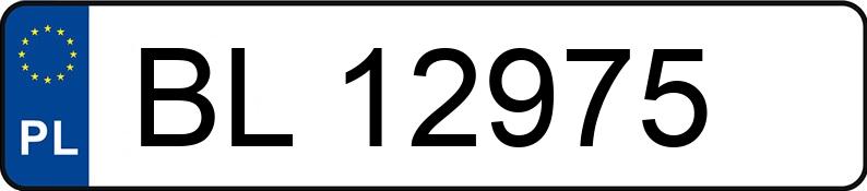 Numer rejestracyjny BL 12975 posiada OPEL Combo Diesel 1.6t 1.7 Tour - BL12975
